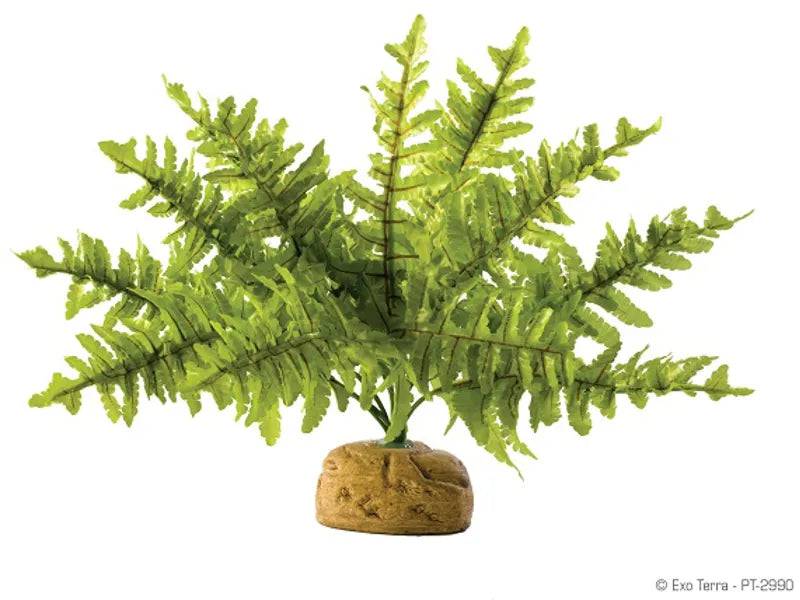 Exo Terra Terrarium Rainforest Small Boston Fern Artifical Plant - Mill Race Garden Centre