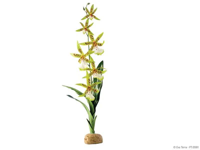 Exo Terra Terrarium Rainforest Spider Orchid Artificial Plant - Mill Race Garden Centre