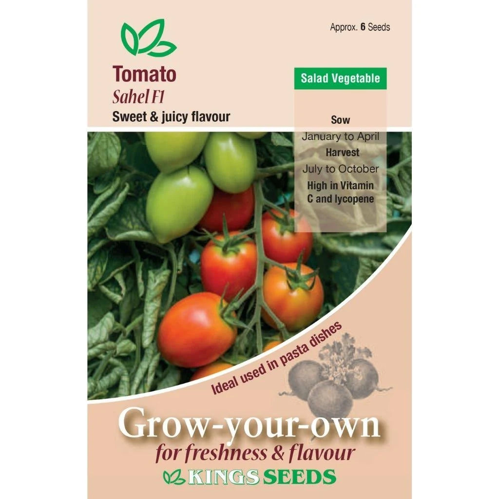 E.W. King & Co. Ltd. Tomato Sahel F1 seed packet showing vibrant tomato illustrations and branding on the packaging.