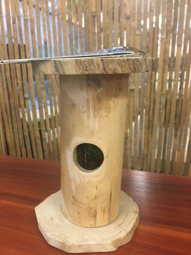 Java Hidden Treat - Mill Race Garden Centre