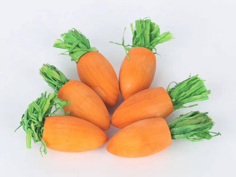 Sky Pets Wooden Carrot Treat 6pk Small Animal - Mill Race Garden Centre