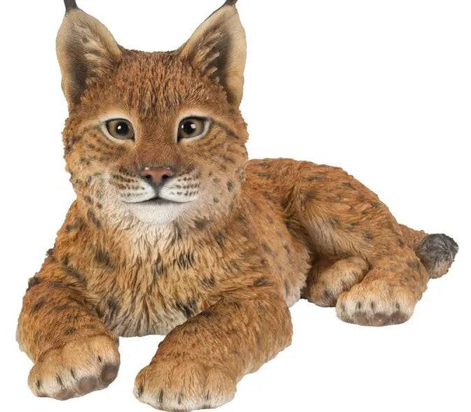 Laying Lynx Real Life Resin Ornament by Vivid Arts - Mill Race Garden Centre