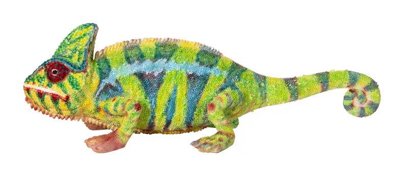 Vivid Arts Chameleon Pet Pals ornament made of resin, featuring a colorful chameleon design on a natural backdrop.