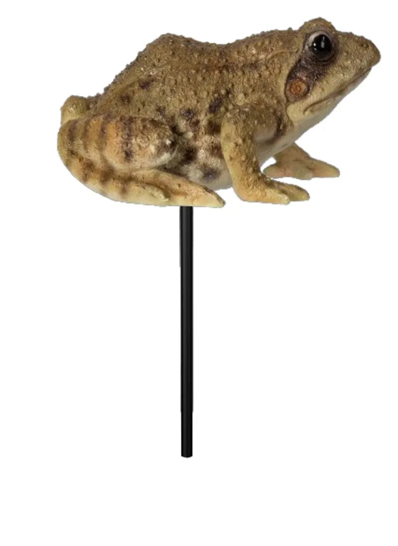 Plant Pal Frog - Mill Race Garden Centre