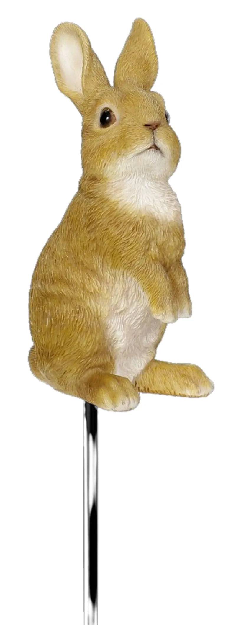 Plant Pal Lookout Rabbit - Mill Race Garden Centre