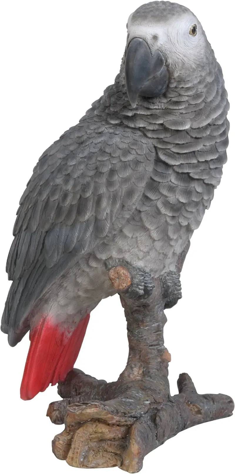 Real Life African Grey Parrot Ornament Size D by Vivid Arts - Mill Race Garden Centre