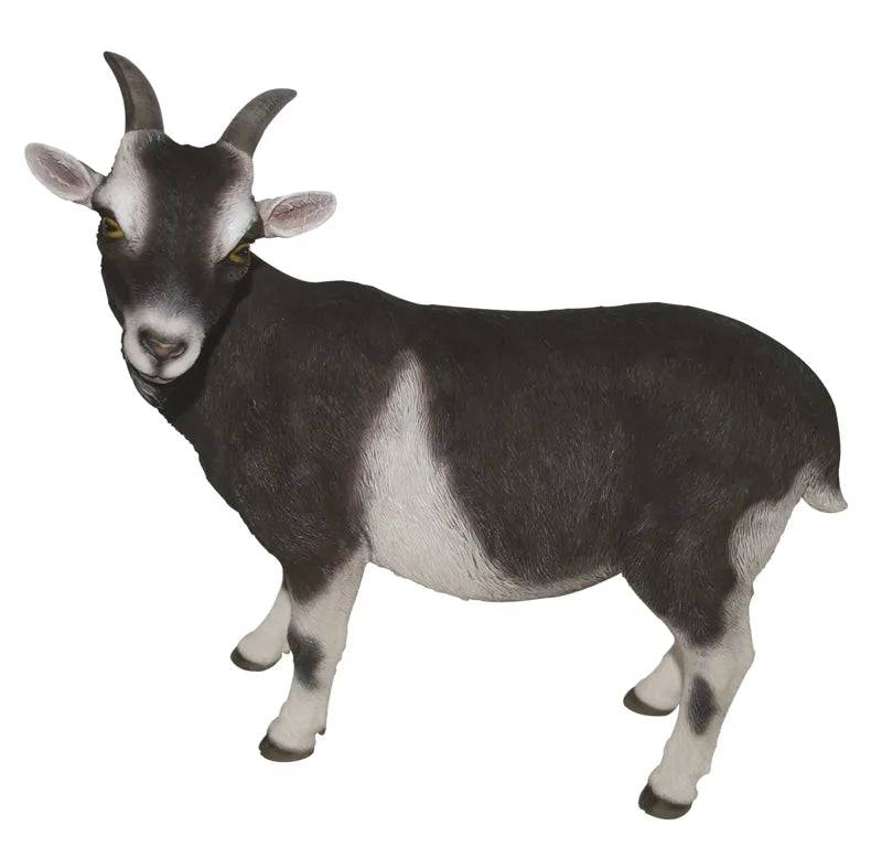 Real Life Goat D - Mill Race Garden Centre