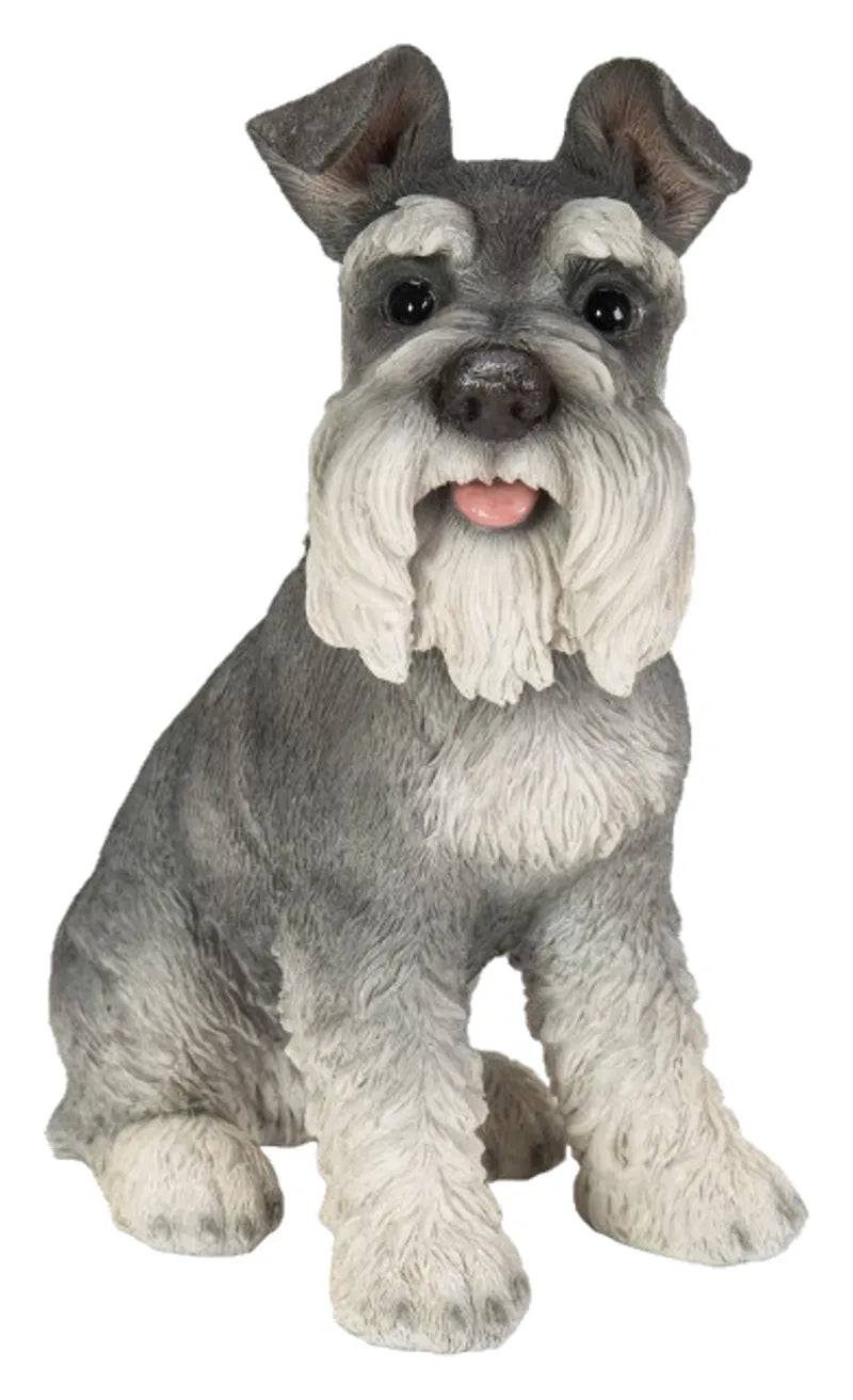 Real Life Sitting Miniature Schnauzer Ornament Size D by Vivid Arts - Mill Race Garden Centre