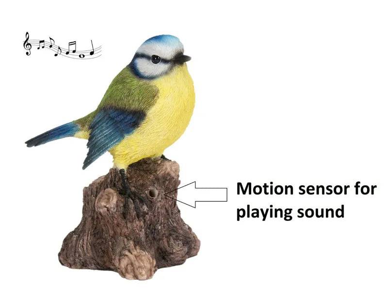 Singing Blue Tit on Stump F - Mill Race Garden Centre