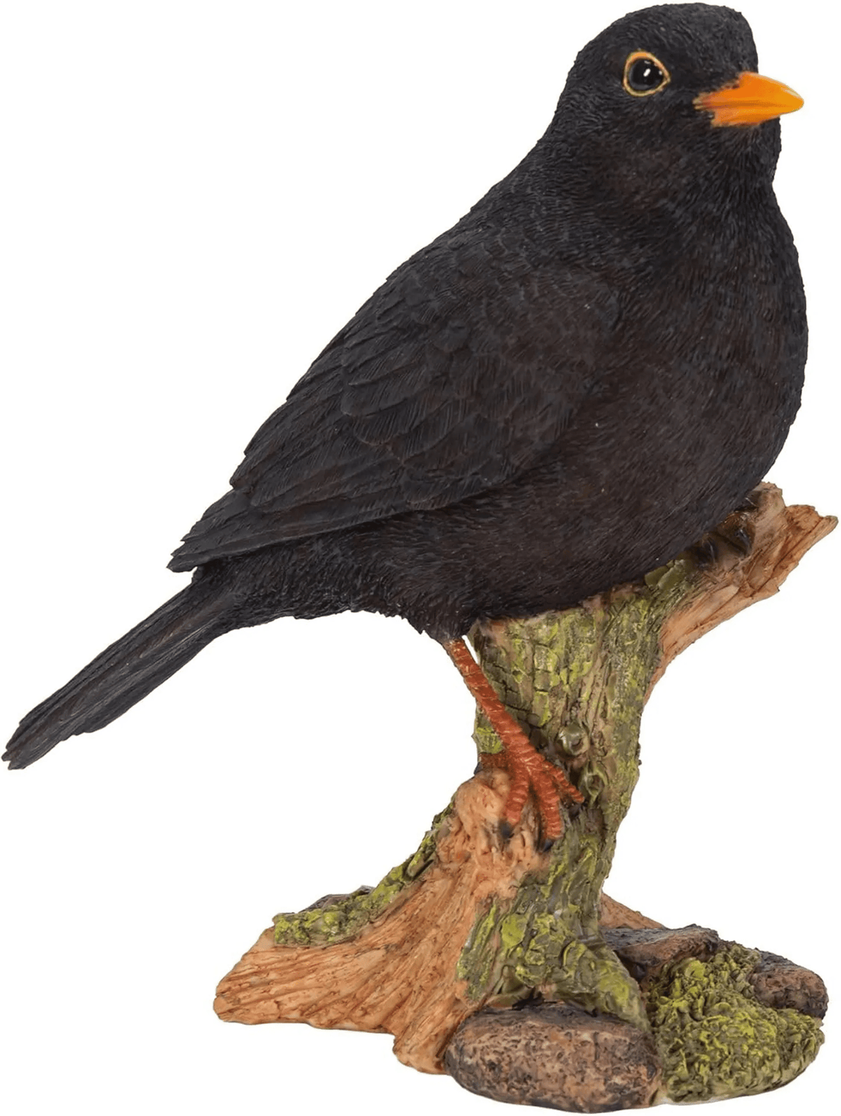 WBC Blackbird Ornament Size D By Vivid Arts - Mill Race Garden Centre