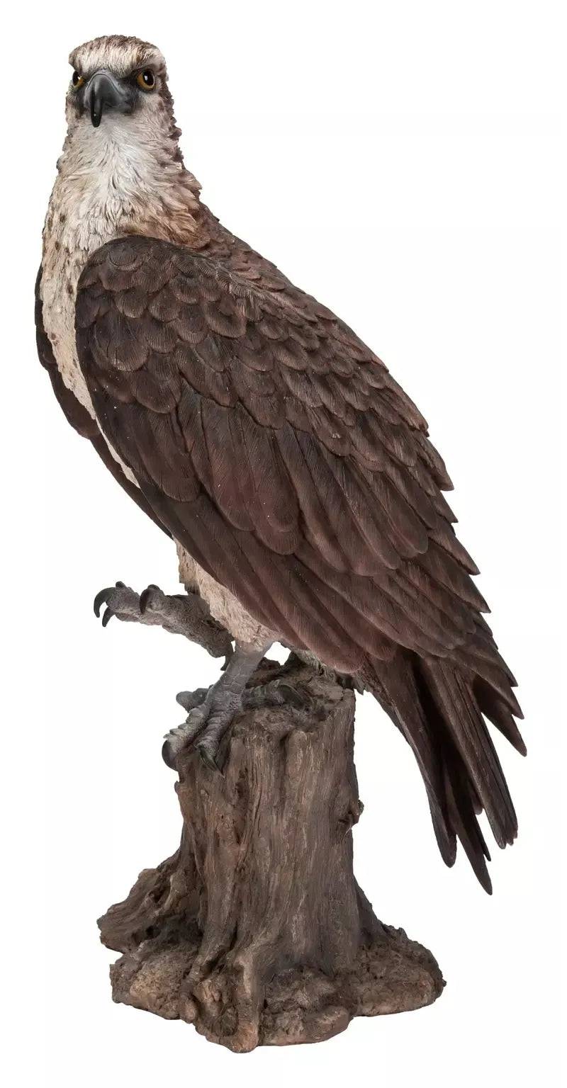 WBC Osprey Garden Ornament Size A by Vivid Arts - Mill Race Garden Centre