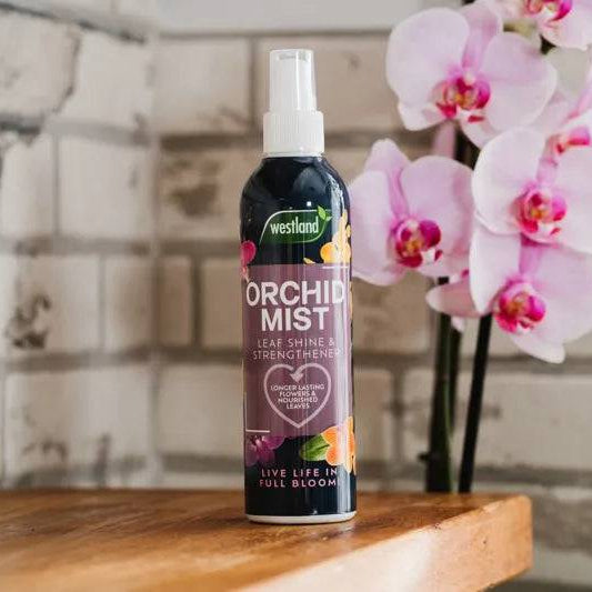 Westland Orchid Mist 250ml bottle, indoor plant care spray, designed for orchids and other houseplants, by Westland Horticulture.