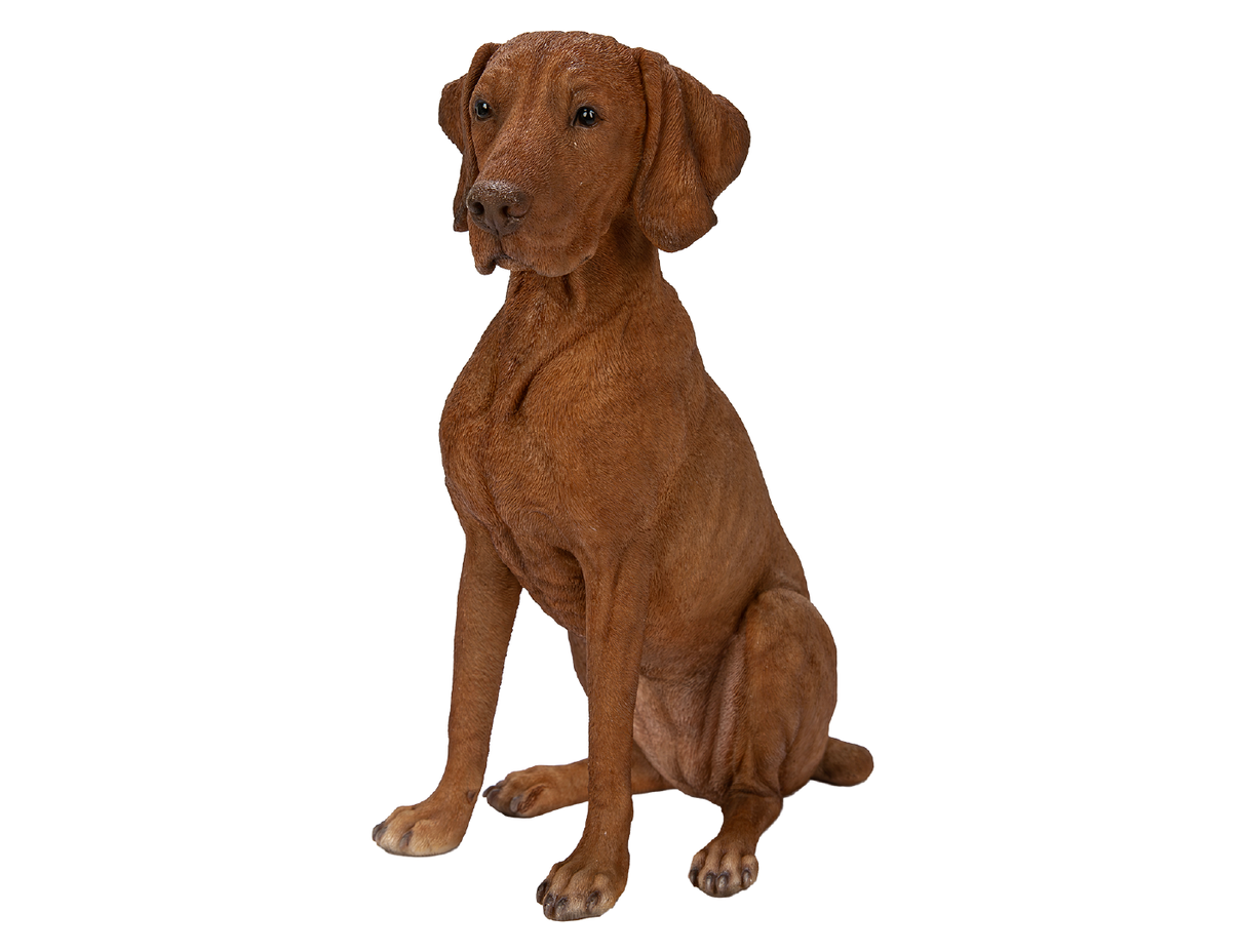 Hungarian Visla Real Life Resin Ornament By Vivid Arts - Mill Race Garden Centre