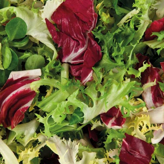 Kings Seeds Tasty Salad Leaves Collection Pack