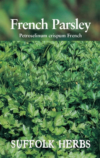 Fresh French parsley bunch from Suffolk Herbs, packaged by E.W. King & Co. Ltd., on clearance, vibrant green leaves and aromatic herbs.