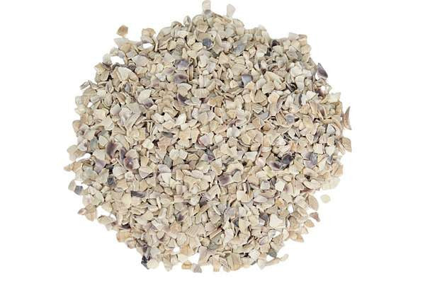 My Village Deco Shell Pieces 370Ml - Mill Race Garden Centre