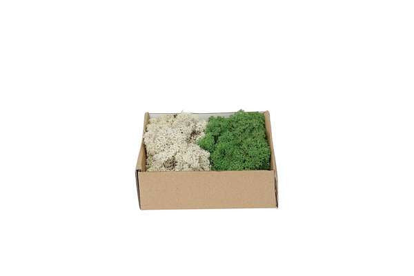 My Village Reindeer Moss Mix Dark Green-Natural 250G - Mill Race Garden Centre