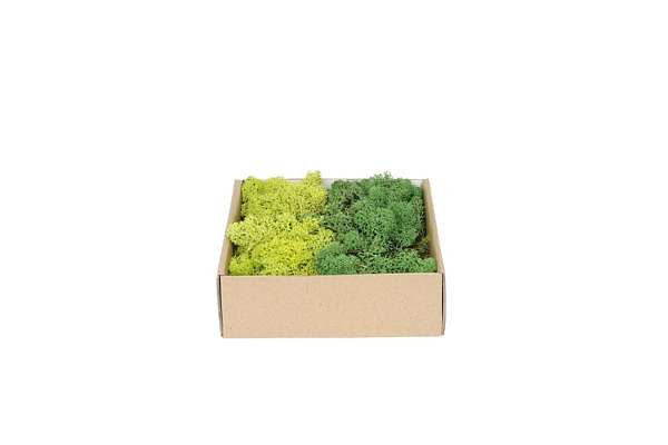My Village Reindeer Moss Mix Dark Green- Green 250G - Mill Race Garden Centre