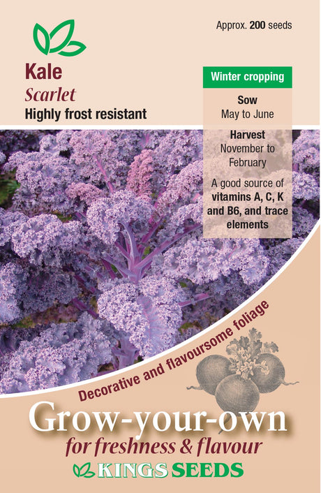 Kale Scarlet - Mill Race Garden Centre