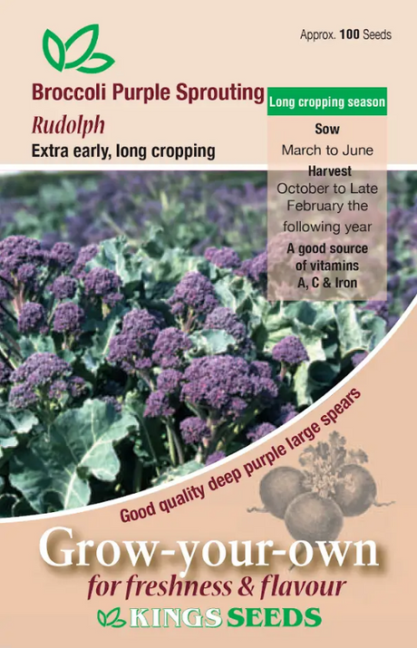 Broccoli Purple Sprouting Rudolph - Mill Race Garden Centre
