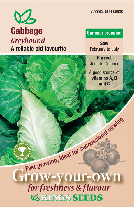 Cabbage Greyhound by Kings Seeds - Mill Race Garden Centre