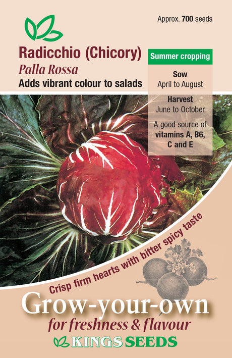 Radicchio Palla Rossa - Mill Race Garden Centre