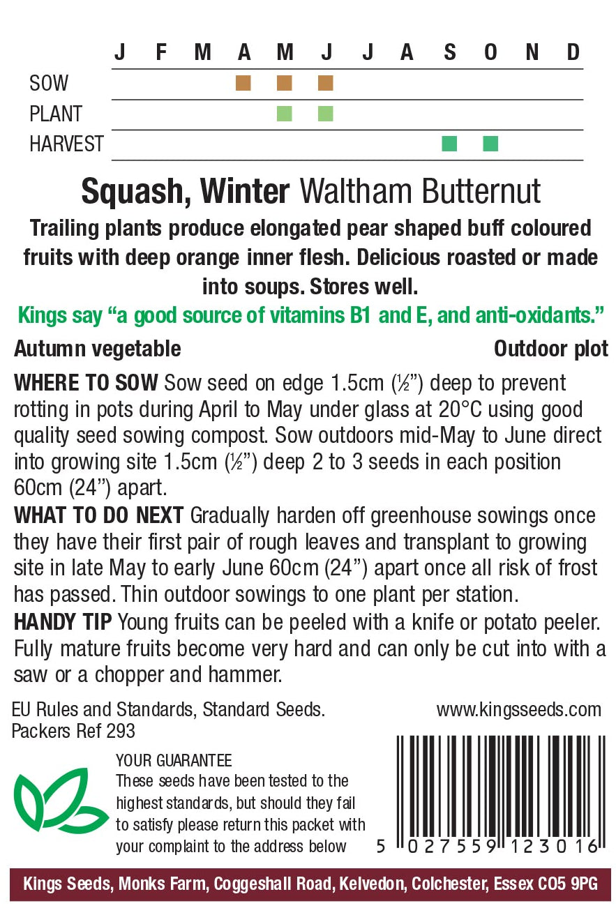 Winter Squash Waltham Butternut by Kings Seeds - Mill Race Garden Centre