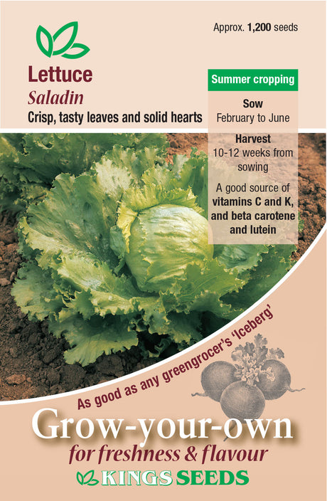 Lettuce  Saladin - Mill Race Garden Centre