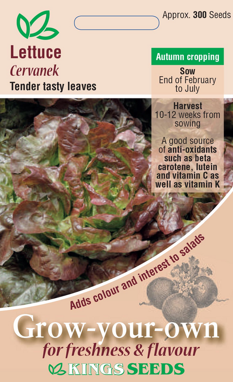 Fresh green Lettuce Cervanek seeds by E.W. King & Co. Ltd. in a clear package with label visible.