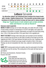 Fresh green Lettuce Cervanek seeds by E.W. King & Co. Ltd. in a clear packet on a white background.