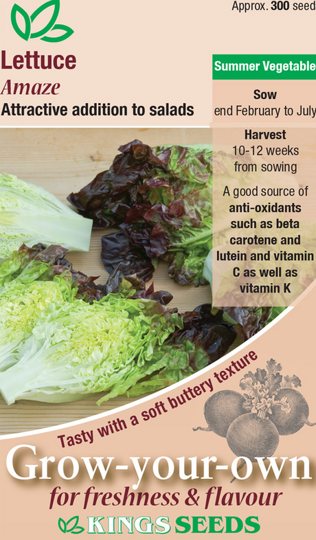 Lettuce Amaze Seeds - Mill Race Garden Centre
