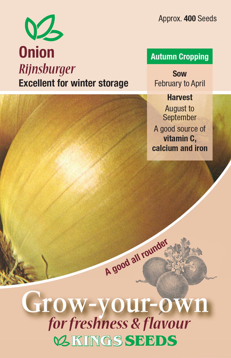 Onion Rijnsburger by Kings Seeds - Mill Race Garden Centre