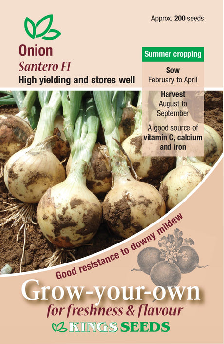 Onion Santero F1 - Mill Race Garden Centre