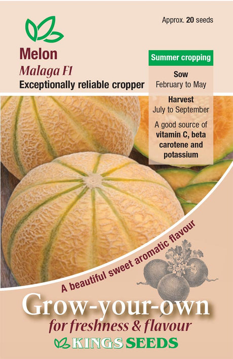 Melon Malaga F1 by Kings Seeds - Mill Race Garden Centre