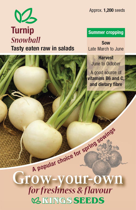 Turnip Snowball by Kings Seeds - Mill Race Garden Centre