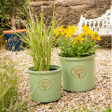 Green 38cm Creekwood Cotswold Cylinder Planter for indoor and outdoor garden plants, stylish and durable garden plant pot.