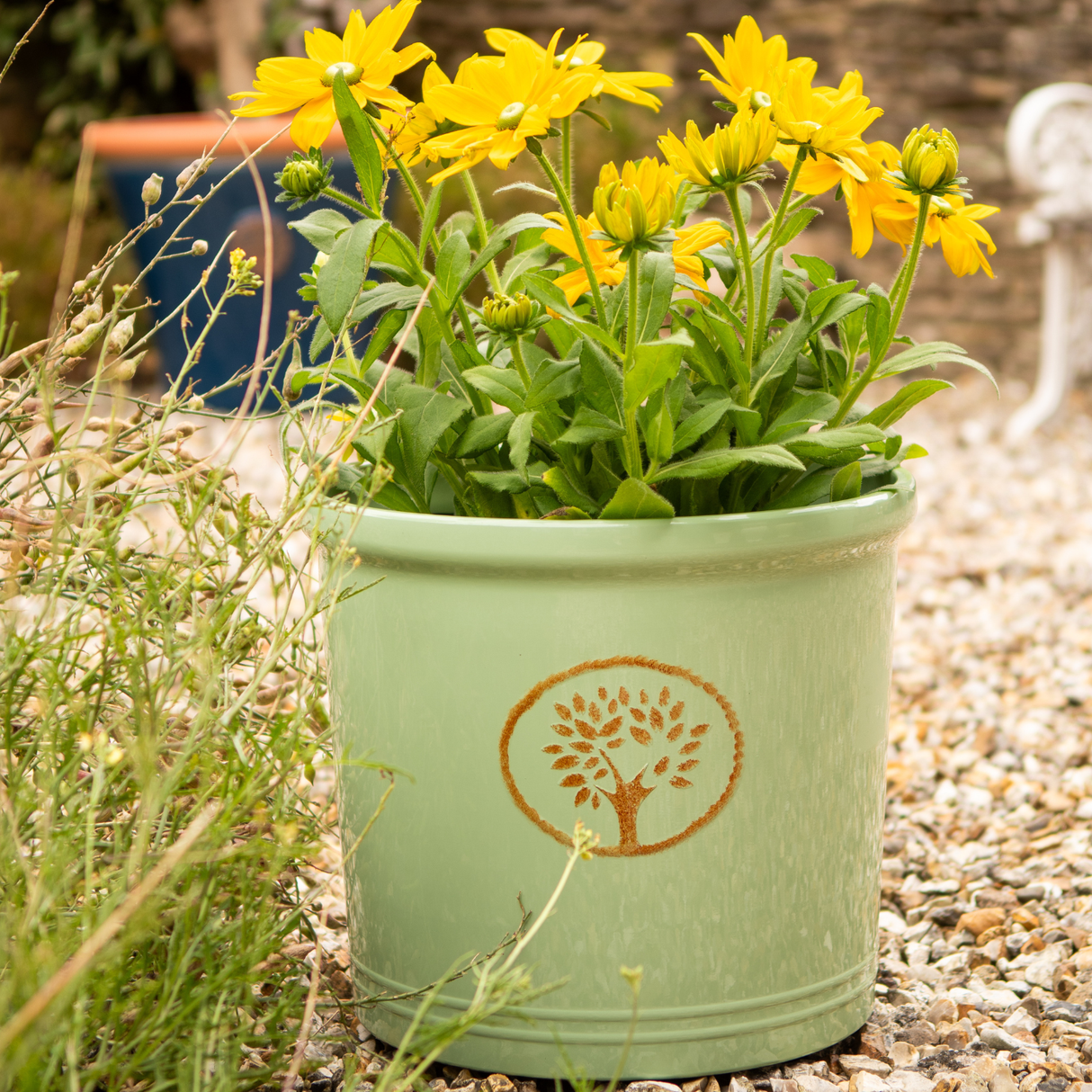 Green Creekwood 38cm Cotswold Cylinder Planter for indoor and outdoor garden plants with a modern cylindrical design