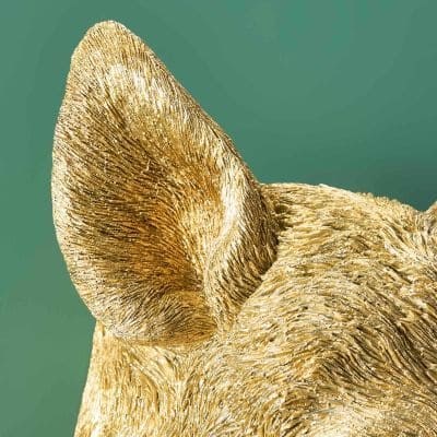 WERNS® Wild Boar / Pig Willy Gold Wall Lamp