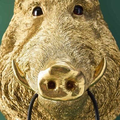 WERNS® Wild Boar / Pig Willy Gold Wall Lamp