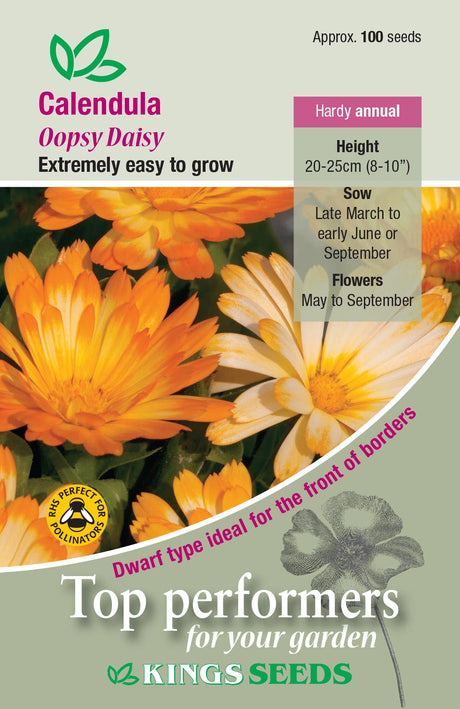 Calendula Oopsy Daisy by Kings Seeds - Mill Race Garden Centre