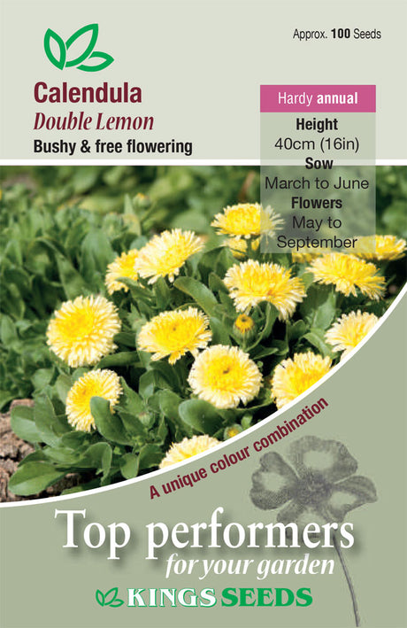 Calendula Double Lemon by Kings Seeds - Mill Race Garden Centre