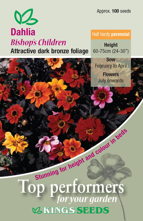 Dahlia Bishops Children - Mill Race Garden Centre