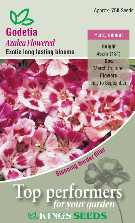 Godetia Azalea Flowered - Mill Race Garden Centre