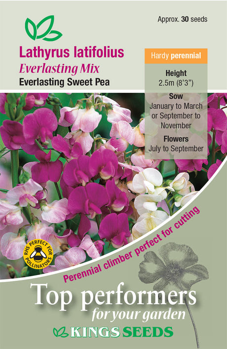 Lathyrus Latifolius Everlasting Mix by Kings Seeds - Mill Race Garden Centre