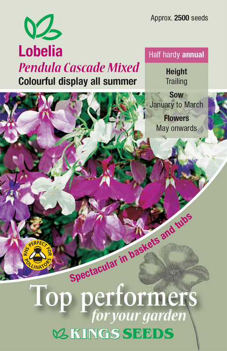 Lobelia Pendula Cascade Mixed by Kings Seeds - Mill Race Garden Centre