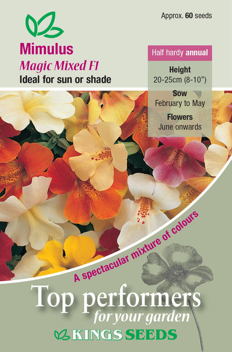 Mimulus Magic Mixed F1 by Kings Seeds - Mill Race Garden Centre