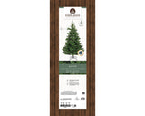 2.4m / 8ft Everlands Green Alba Fir Artificial Christmas Tree by Kaemingk