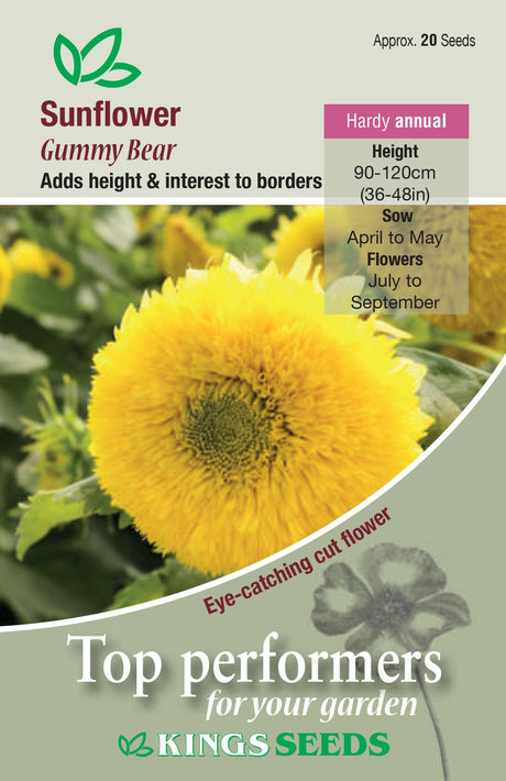 Sunflower Gummy Bear by Kings Seeds - Mill Race Garden Centre