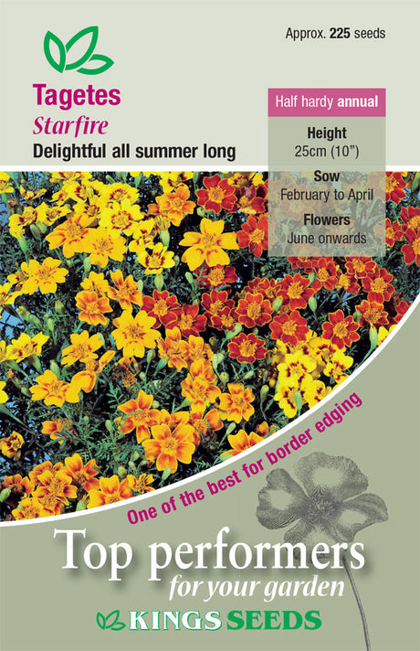 Tagetes Starfire by Kings Seeds - Mill Race Garden Centre