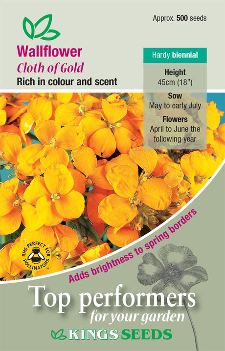 Wallflower Cloth Of Gold - Mill Race Garden Centre